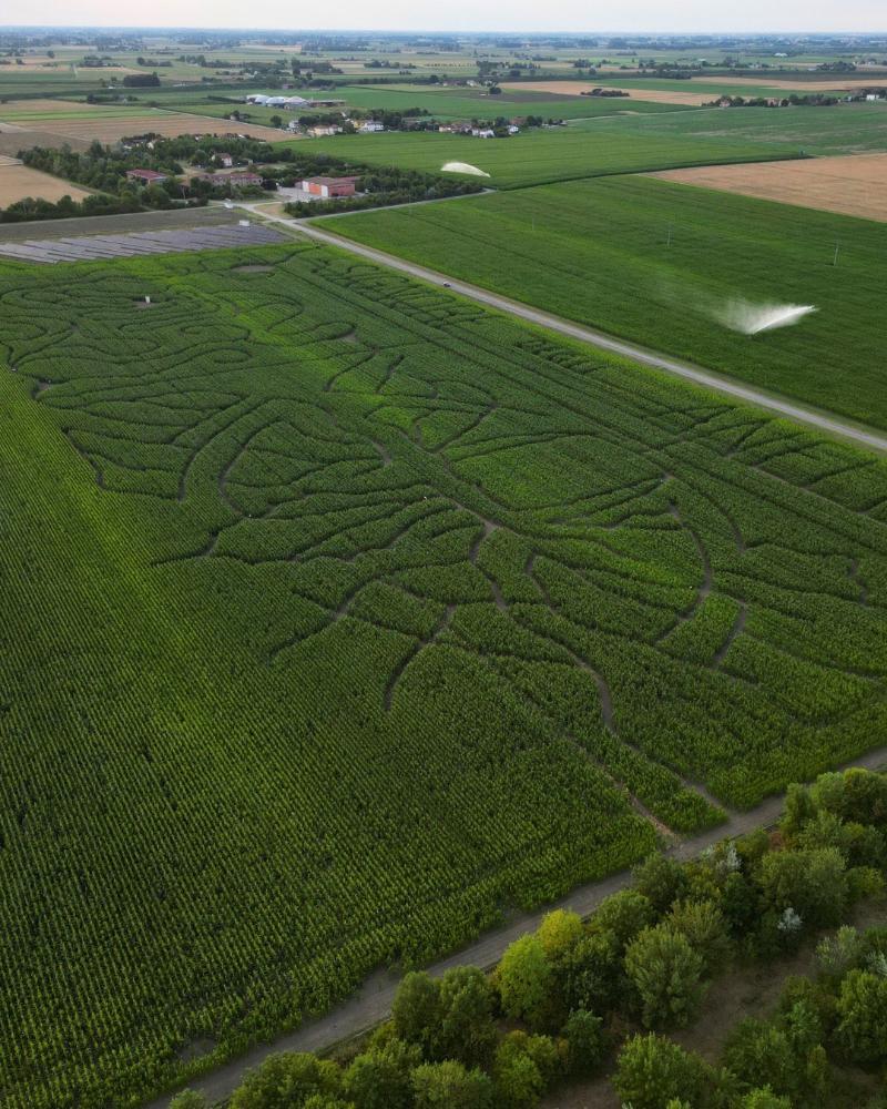Beer Festival at Crop Circles