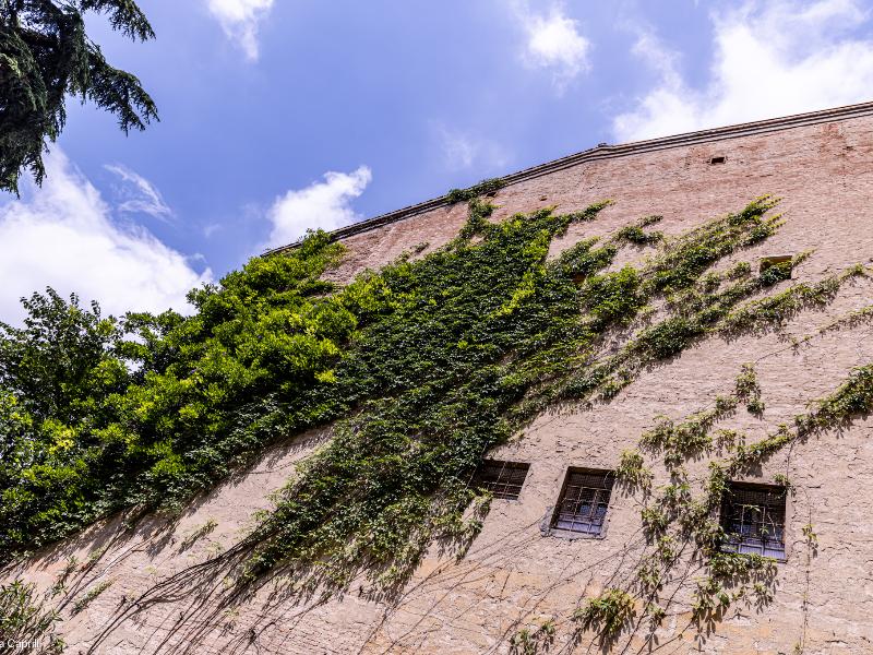 Giardini aperti 25