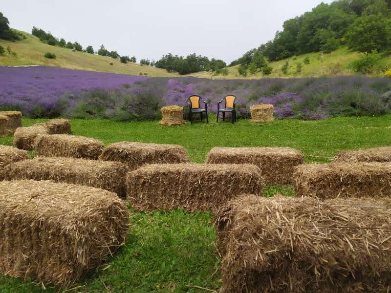 La Valle Canta e La Lavanda Incanta