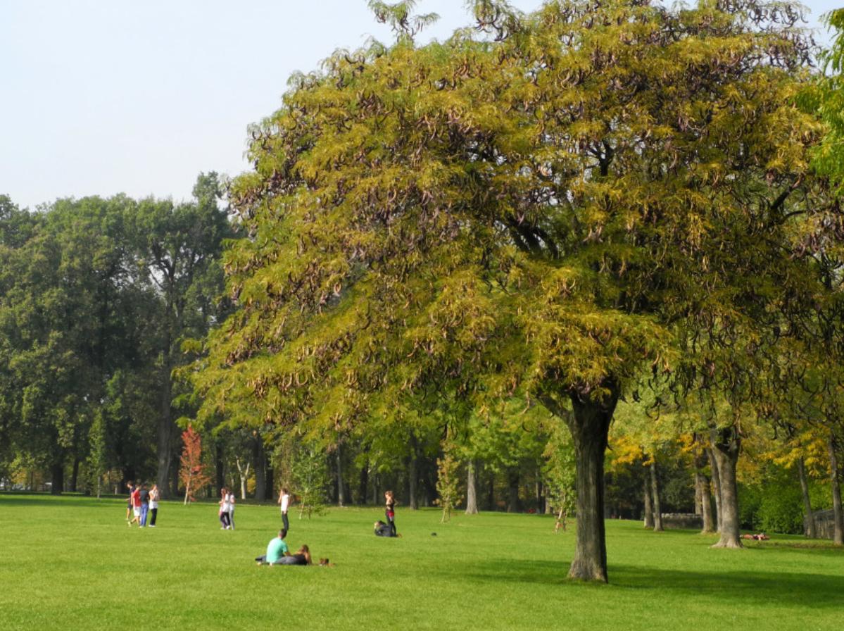 Parks and gardens Bologna