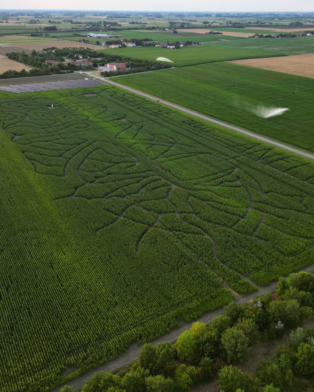 Labirinto di Mais, Medicina, Crop Circles