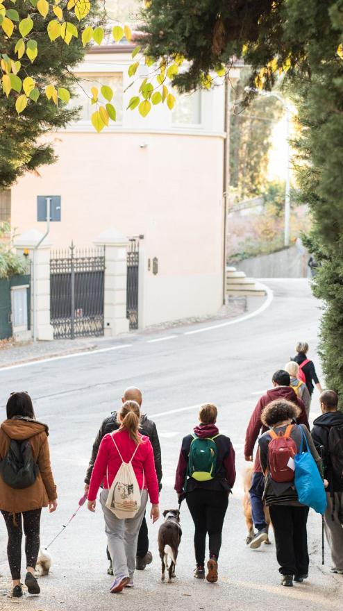 Trekking Urbano