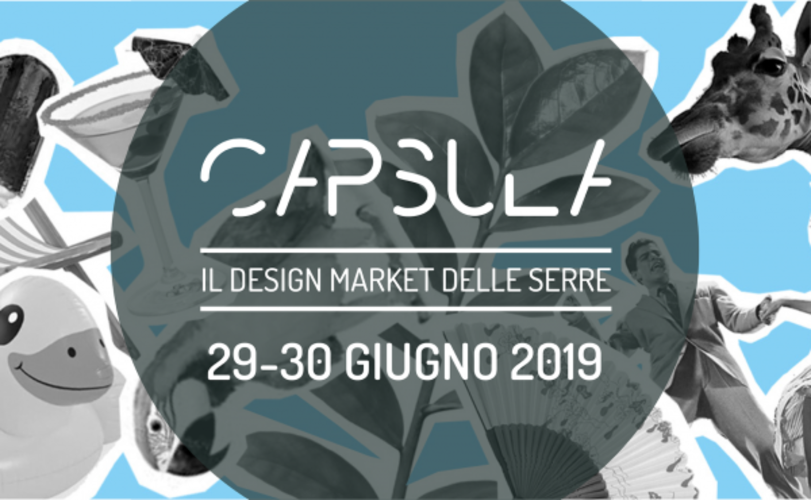 Capsula Designa Market