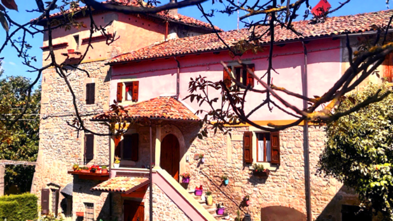 B&B Camelia 