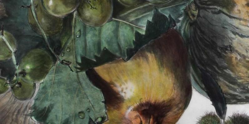 Natura in posa. Le stagioni di Wolfango