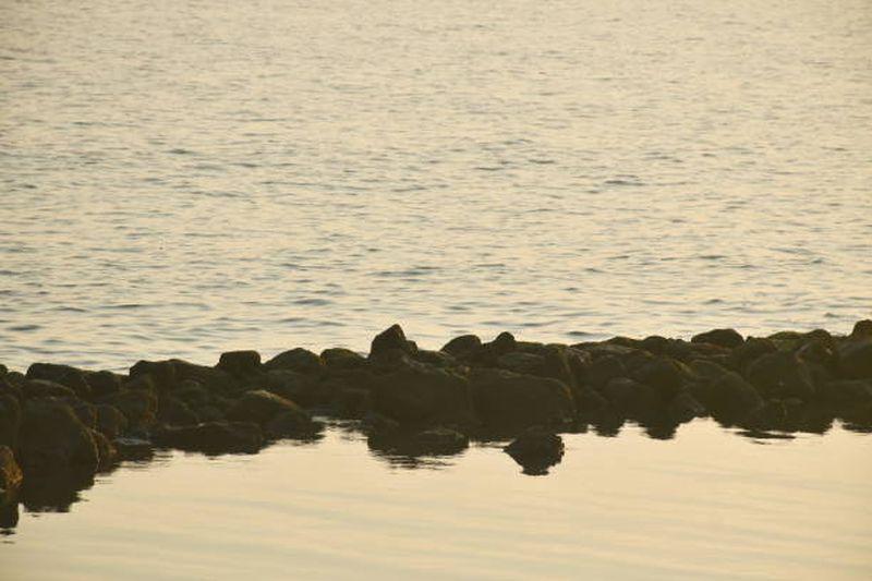 Vasto Mar | Fontanamix