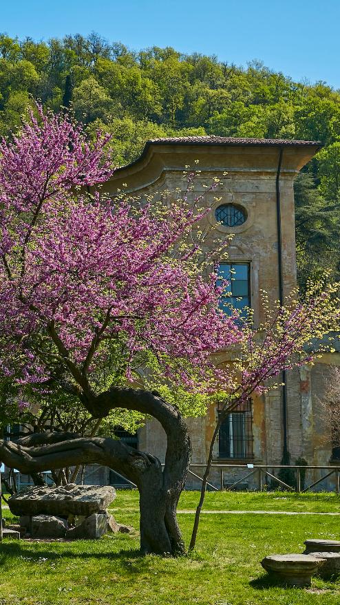 Parco della Chiusa (Talon), Casalecchio di Reno (BO) ©Massimo Gennari