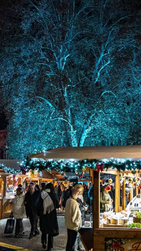 Mercatino francese in Piazza Minghetti, Bologna