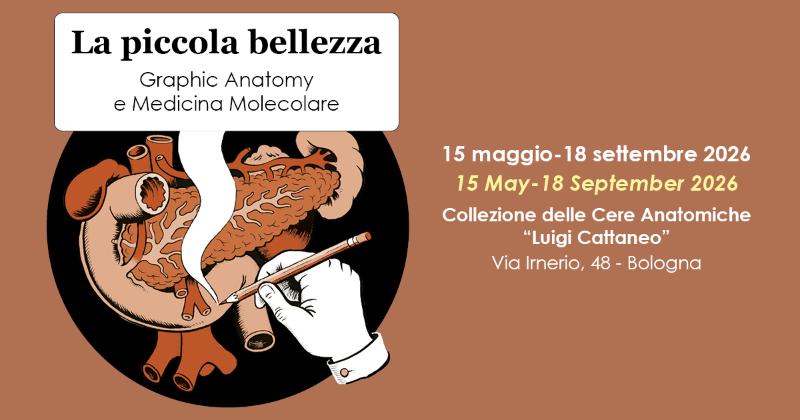 La piccola bellezza. Graphic Anatomy e Medicina Molecolare