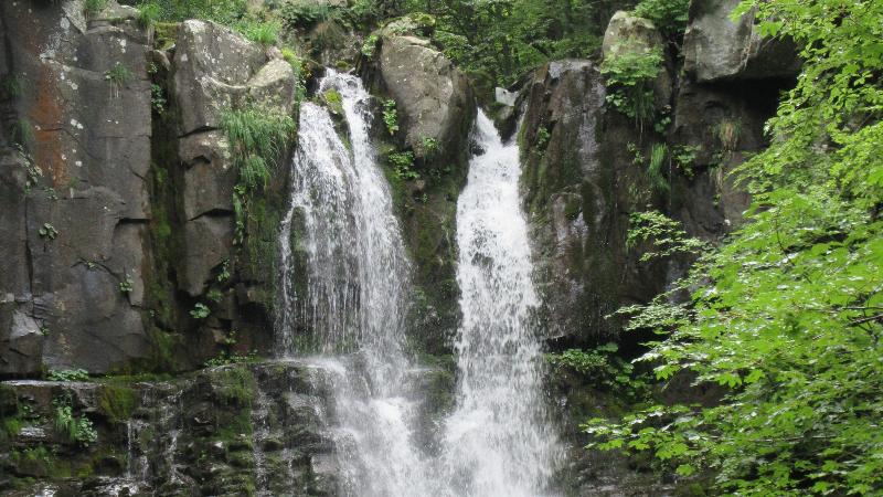 Between woods and water jumps: the seven waterfalls of the Dardagna