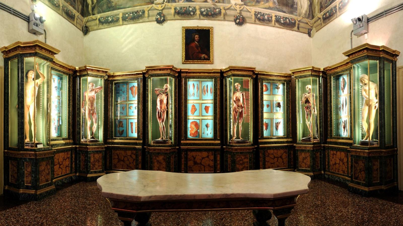 Sala delle Cere Anatomiche, Palazzo Poggi / Anatomical Wax Room, Palazzo Poggi