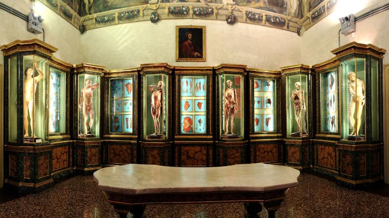 Musei di Palazzo Poggi