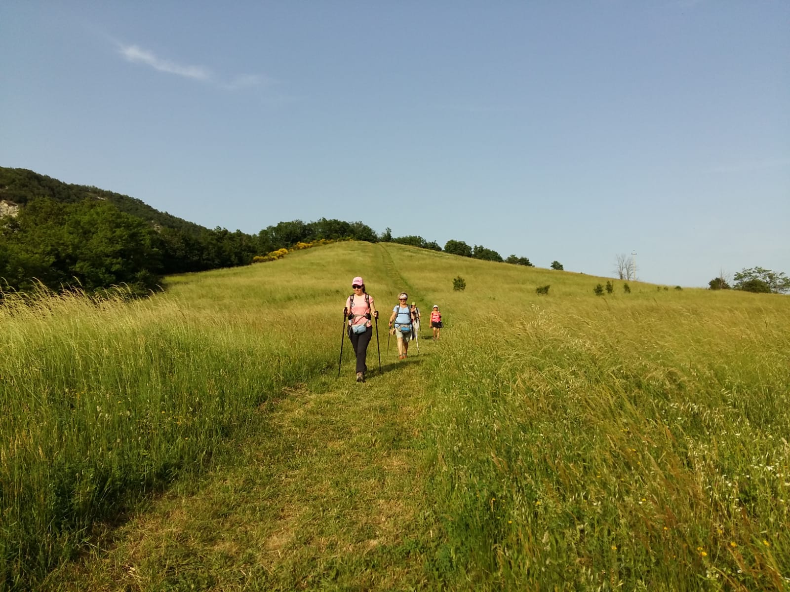 Parco della Vena del Gesso Romagnola - Bologna Welcome