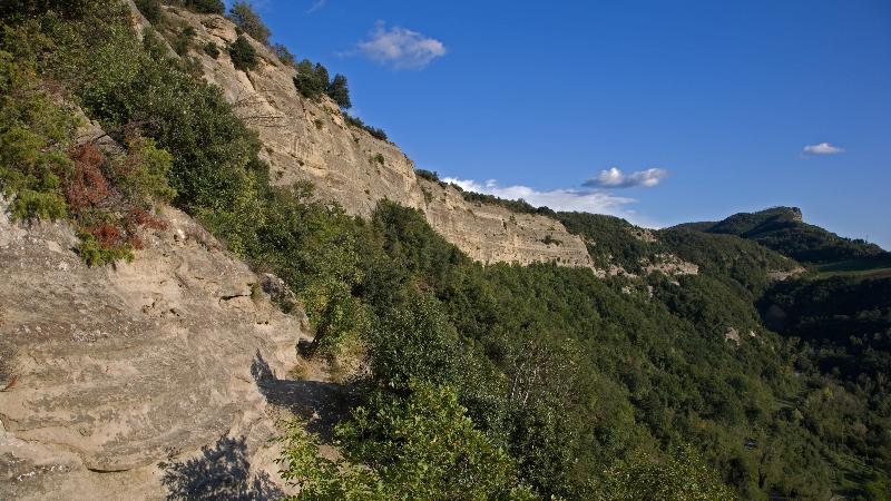 Riserva Naturale del Contrafforte Pliocenico