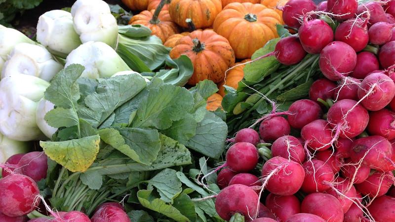 Markets of San Lazzaro di Savena
