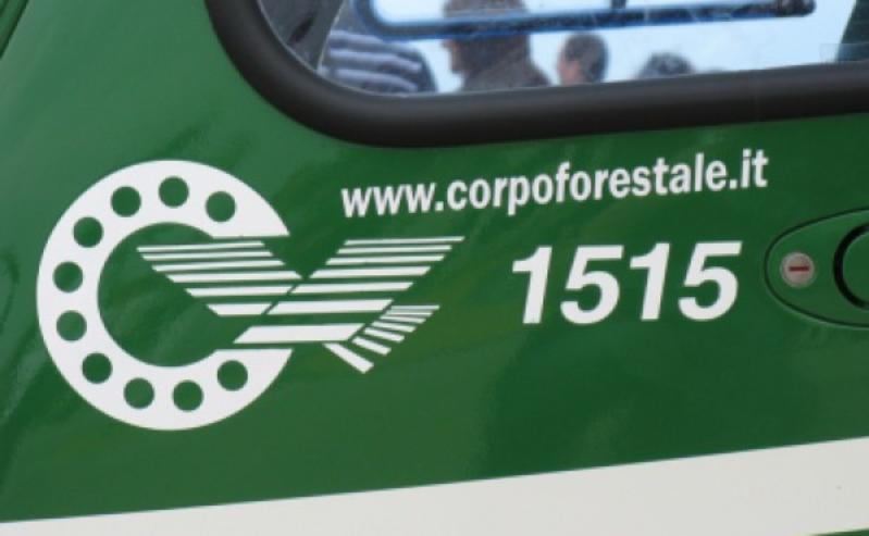 CUTFAA-Comando Unità per la tutela forestale ambientale e agroalimentare Carabinieri