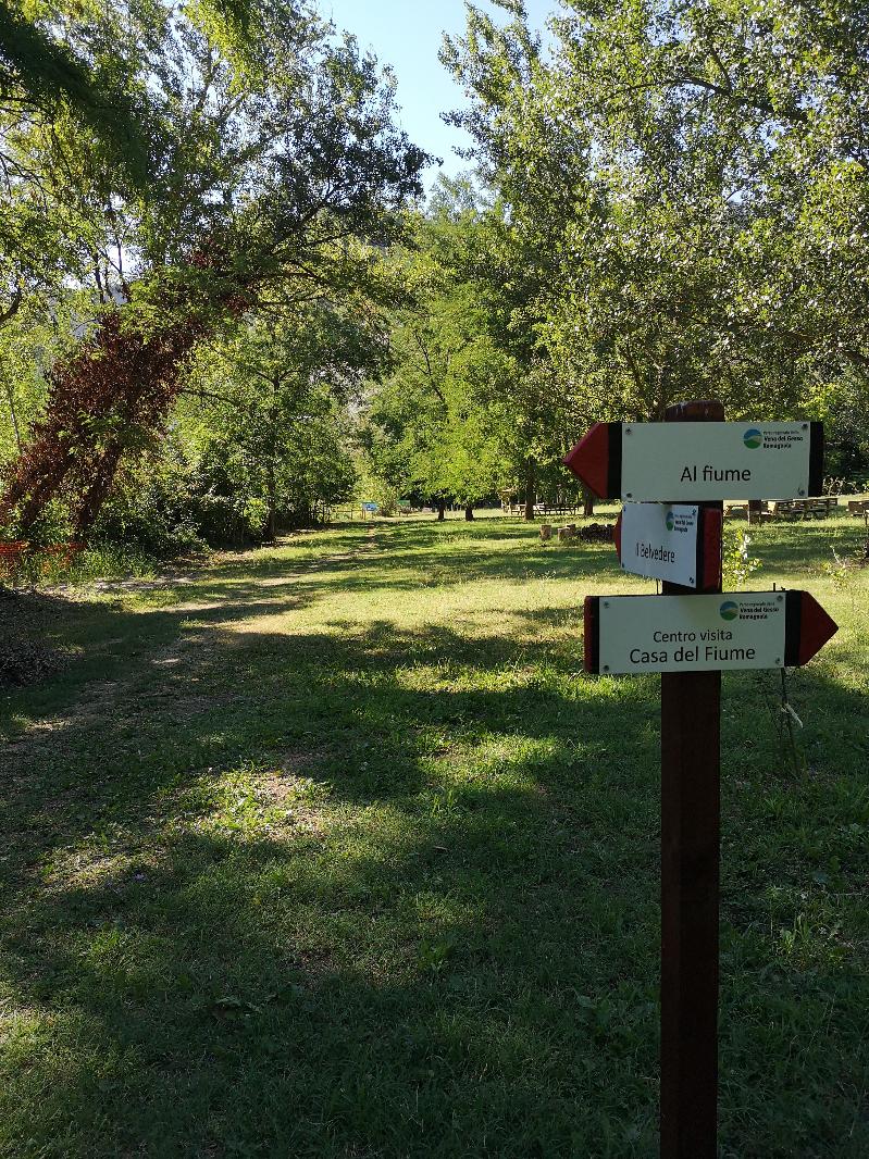 Uno zoo di sasso - laboratorio per bambini