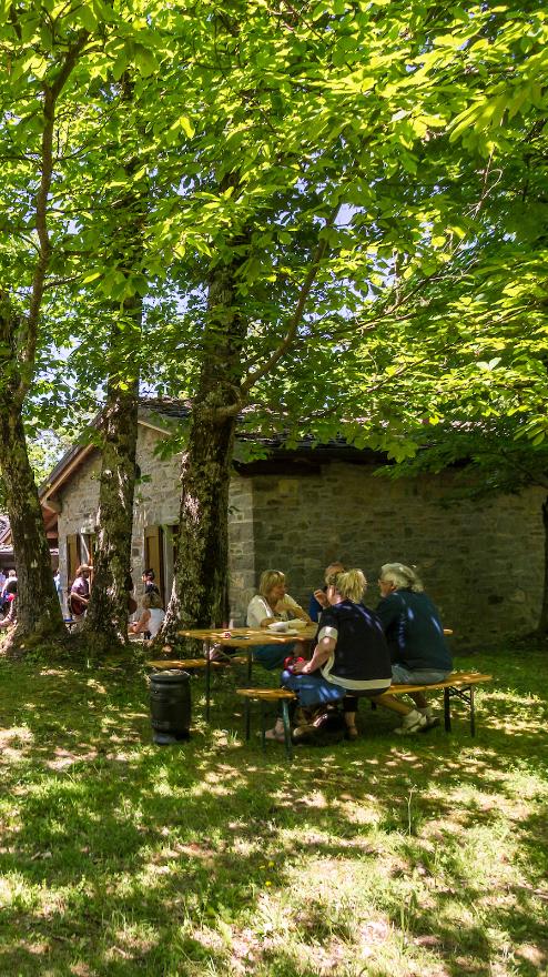 Parco del Castagno  - Alto Reno Terme ©Lilly Venturi