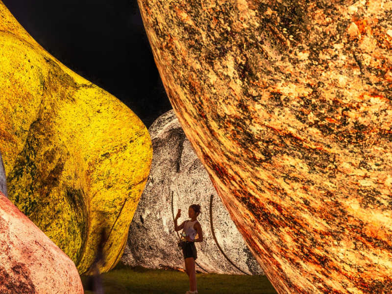 Iwagumi - ph. Finbarr Fallon