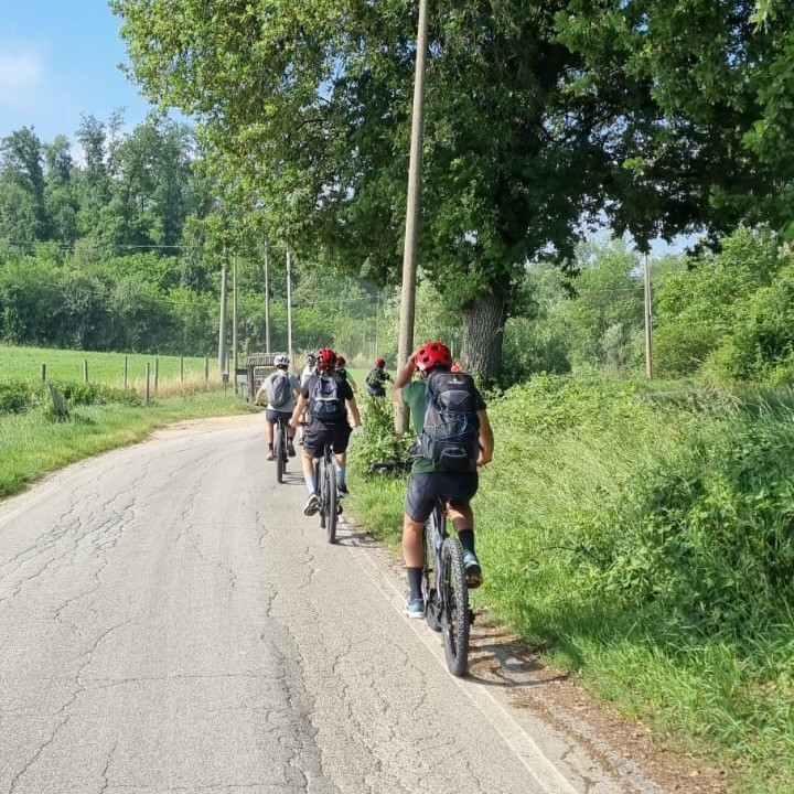 E-bike rental ©Mec Bike