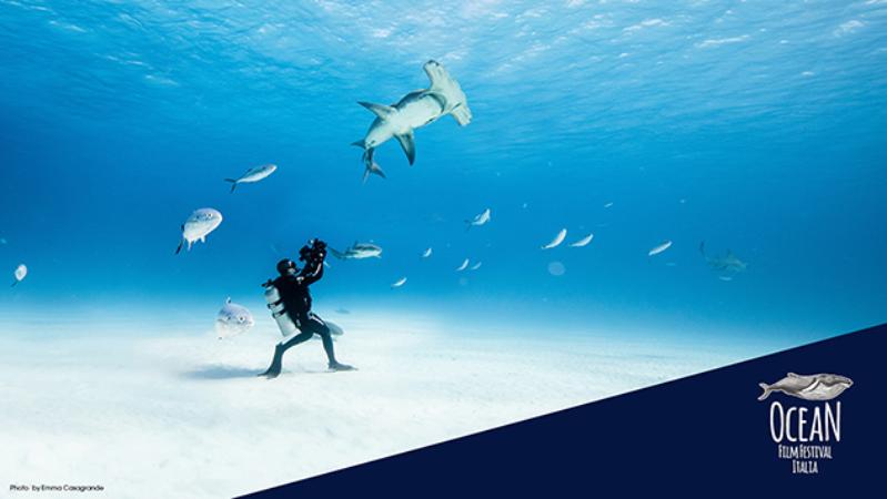 Ocean Film Festival