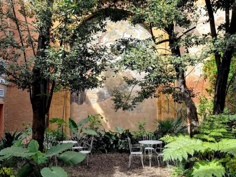  Peonia in Bloom Special Winter Edition