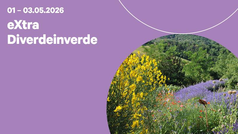 Diverdeinverde in the Flatlands