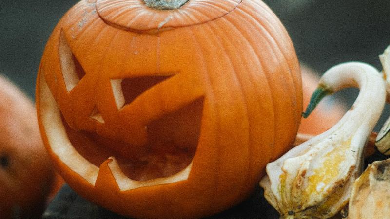 zucca halloween