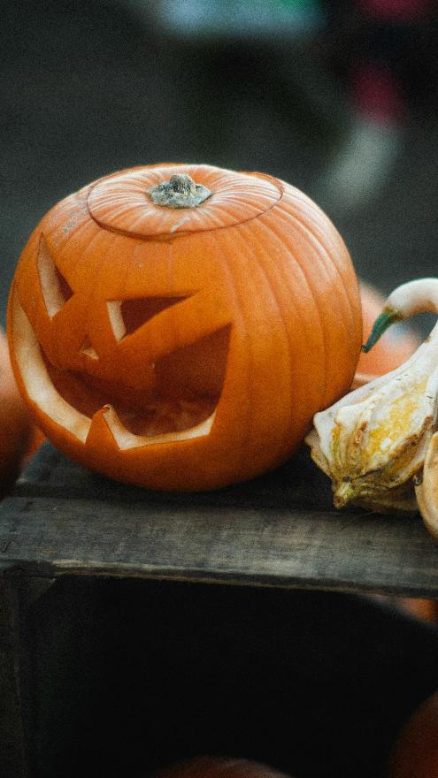 zucca halloween