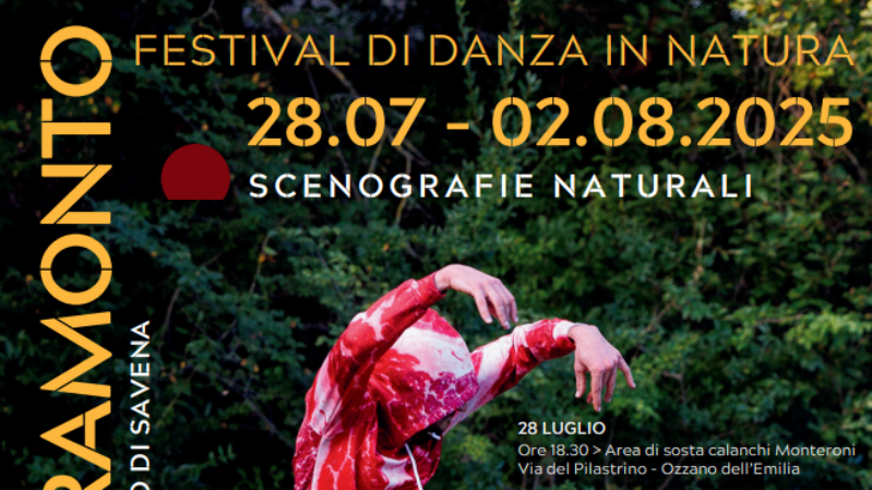 Poster Danzare il Tramonto
