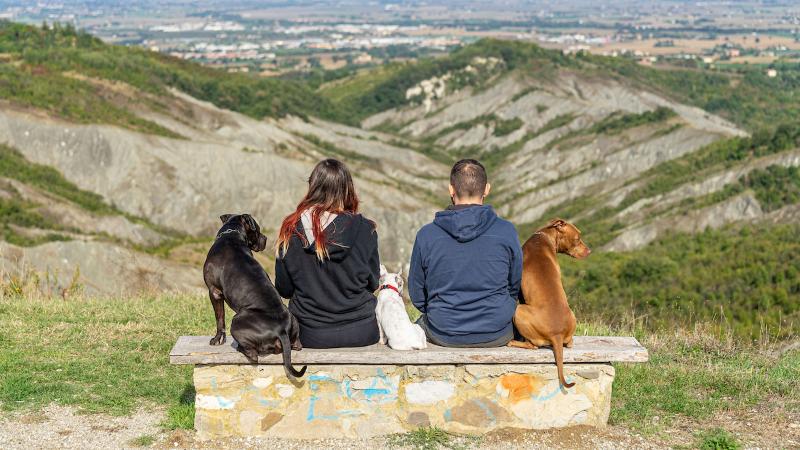 Cani - Calanchi dell'Abbadessa - Appennino ©Lab051
