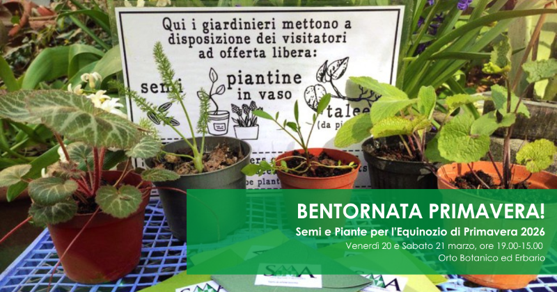 Bentornata Primavera! (Welcome back, Spring!)