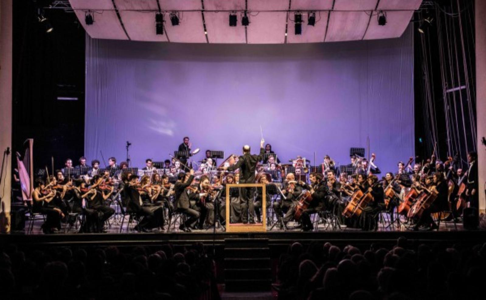 Social Concert - Orchestra Senzaspine