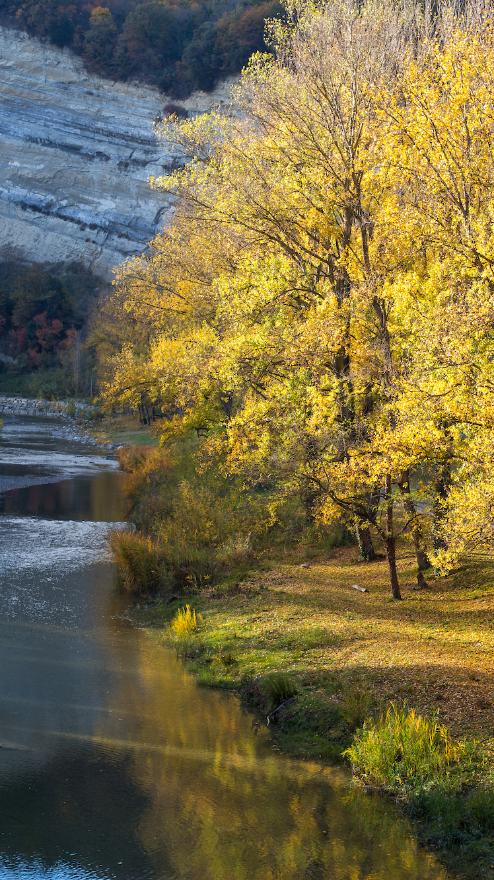 Autumn in Bologna amidst the colours of foliage