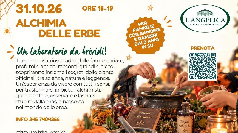 Alchimia delle Erbe – Un laboratorio da brividi!