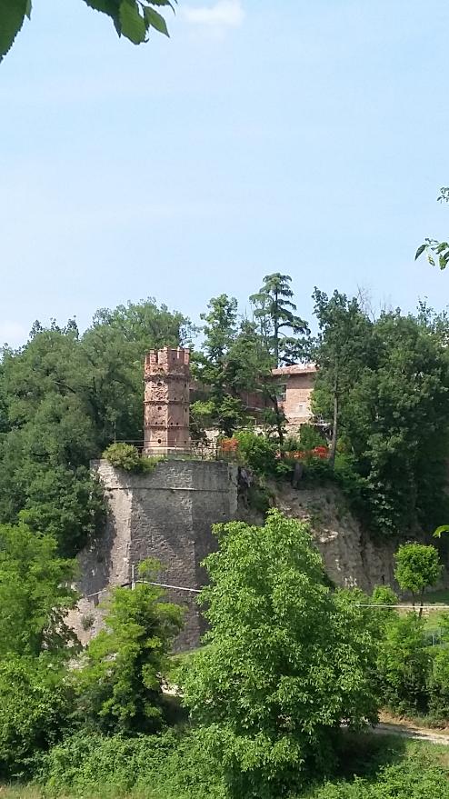 Castello di Zena/Castle of Zena