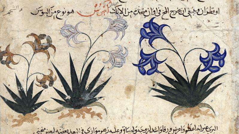 In the image you see a painting with blue‑and‑ochre flowers and some Arabic text
