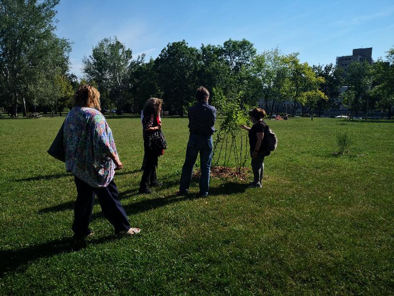 Project LIFE Clivut: walks in parks to discover the trees that most affect climate mitigation in our city