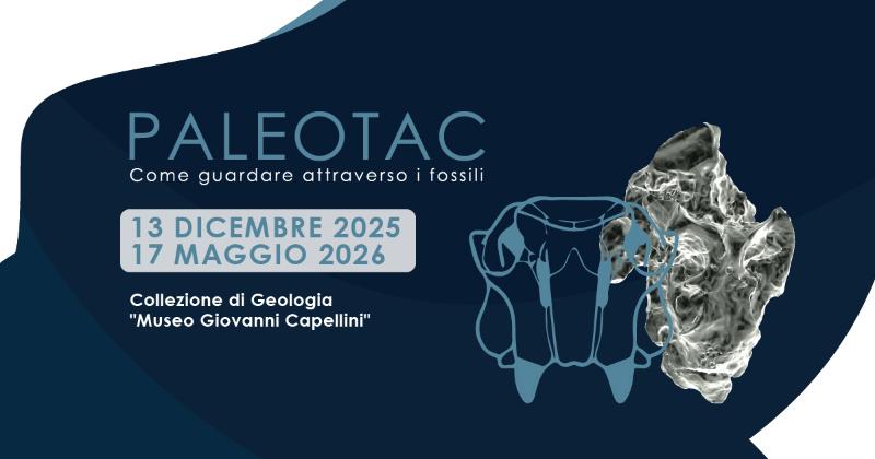 Paleotac - Come guardare attraverso i fossili Paleotac - Come guardare attraverso i fossili
